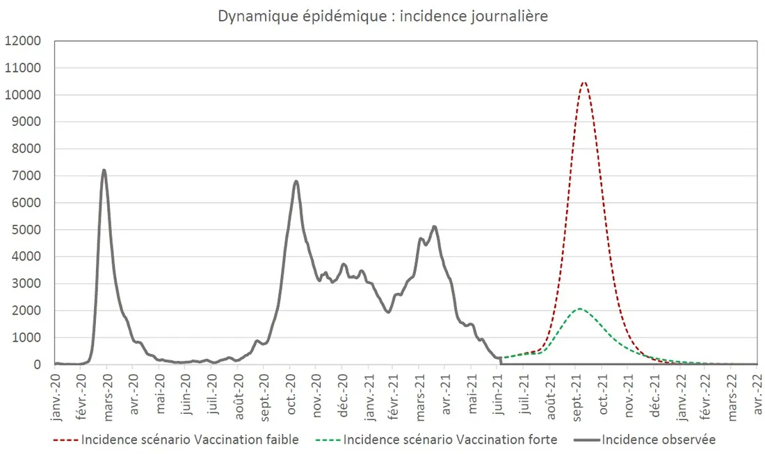 Dynamique épidémique incidence journalière